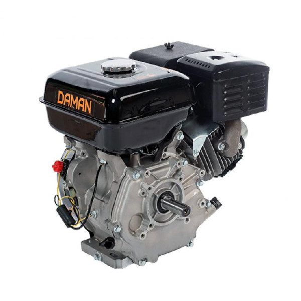 Двигатель 6,5 л.c. d=20мм. Daman DM106P20 в Апатитах
